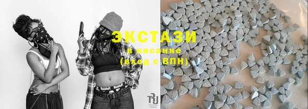прущие грибы Дмитровск