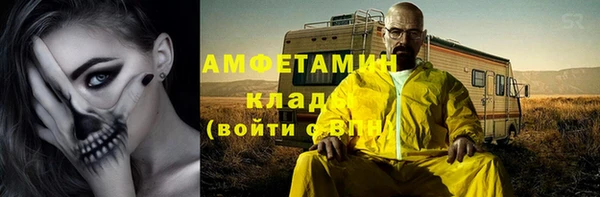 прущие грибы Дмитровск