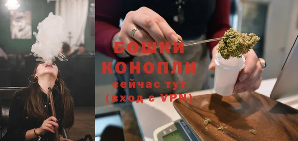 прущие грибы Дмитровск