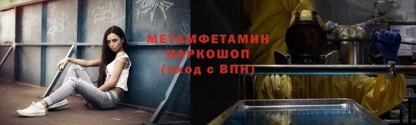 прущие грибы Дмитровск