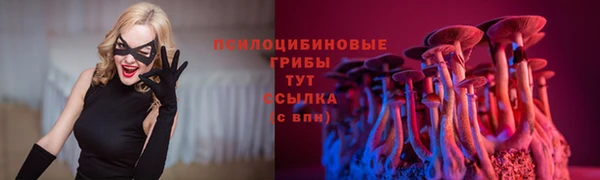 гидропоника Дмитров