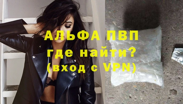 прущие грибы Дмитровск