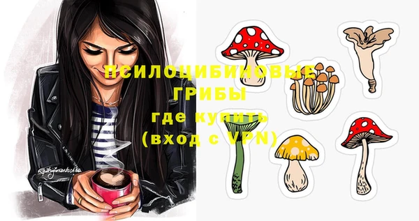 гидропоника Дмитров