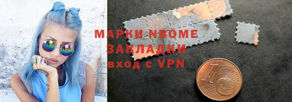 прущие грибы Дмитровск