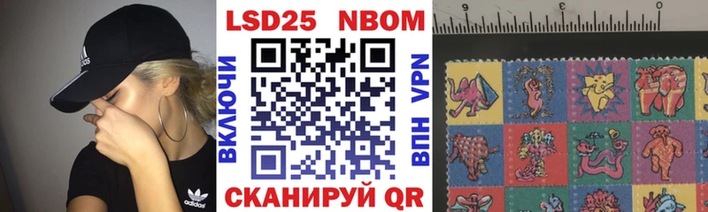 Купить где  Новосокольники  Марки NBOMe 1500мкг 