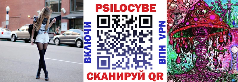 Купить закладки  Новосокольники  Псилоцибиновые грибы Cubensis 